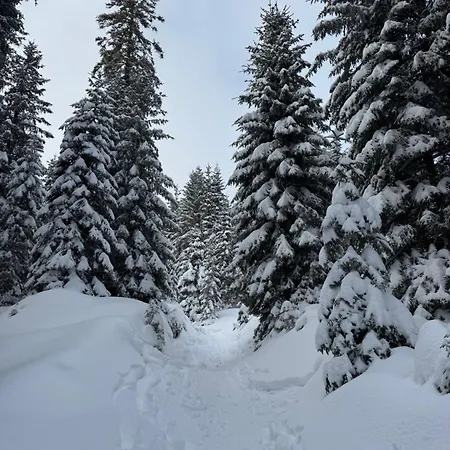 Allgaeu Bergluft Apartamento *