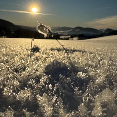 Allgaeu Bergluft Apartamento Weitnau