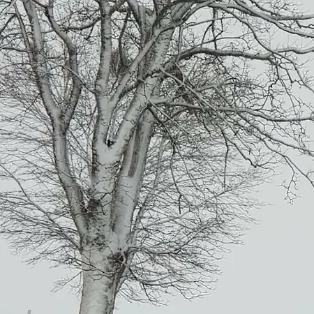 Allgaeu Bergluft * Weitnau