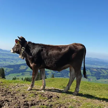 아파트 Allgaeu Bergluft