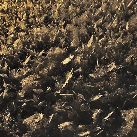 아파트 Allgaeu Bergluft 바이트나우