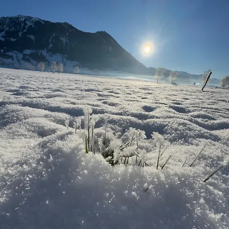 Allgaeu Bergluft *