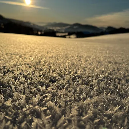 Allgaeu Bergluft * 바이트나우