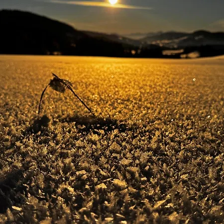 Allgaeu Bergluft