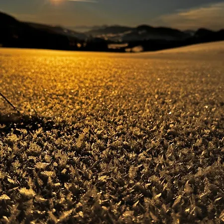 아파트 Allgaeu Bergluft