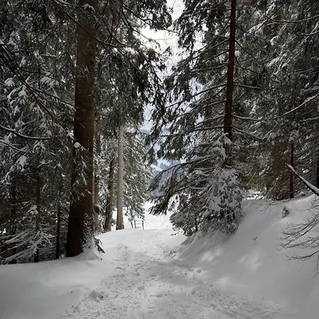 Allgaeu Bergluft *
