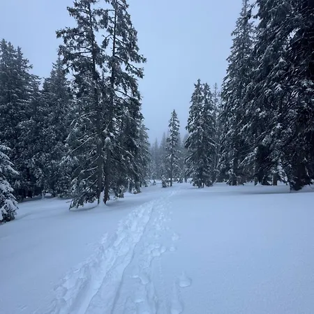 Allgaeu Bergluft Weitnau