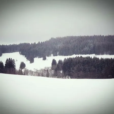 Allgaeu Bergluft *