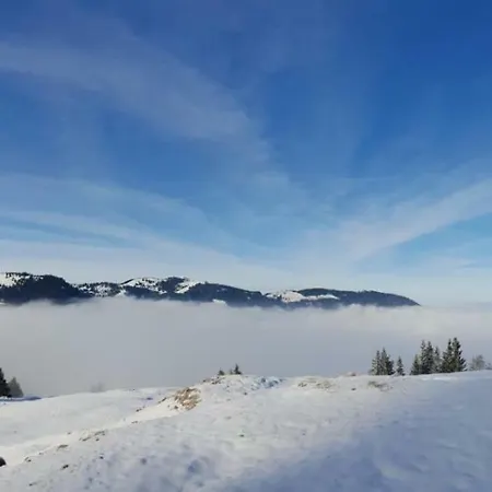 Allgaeu Bergluft 아파트 *