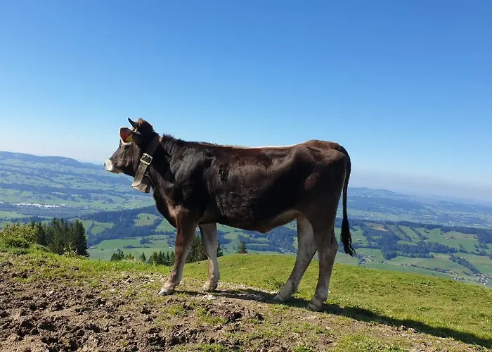 Διαμέρισμα Allgaeu Bergluft