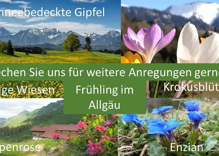 Allgaeu Bergluft Appartamento *