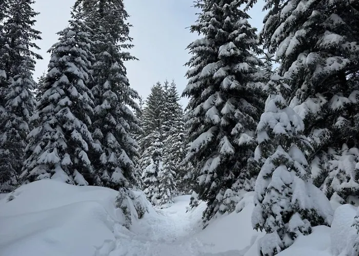 Allgaeu Bergluft Lejlighed *