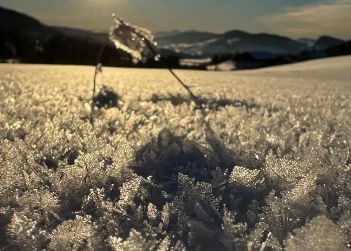 Allgaeu Bergluft Appartamento Weitnau