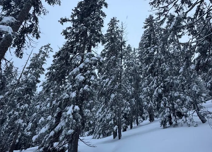 Allgaeu Bergluft Weitnau
