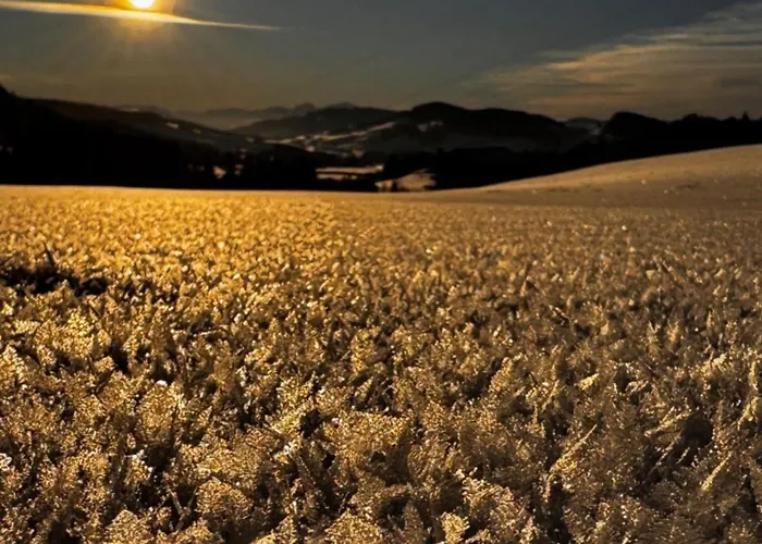 Lejlighed Allgaeu Bergluft *