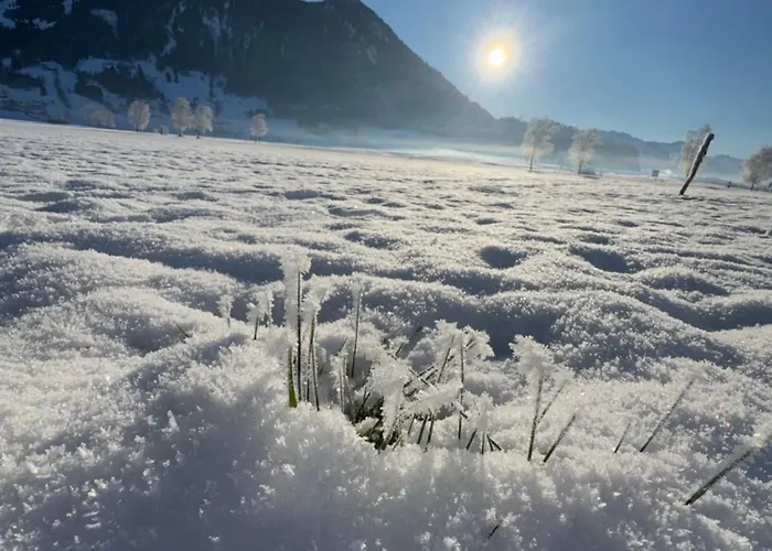 Allgaeu Bergluft *