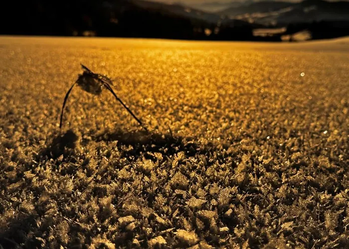 Allgaeu Bergluft