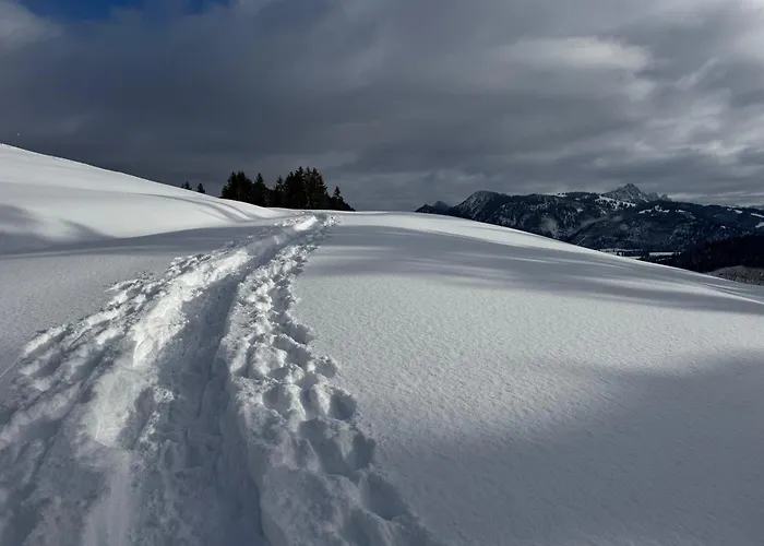 Lejlighed Allgaeu Bergluft Weitnau