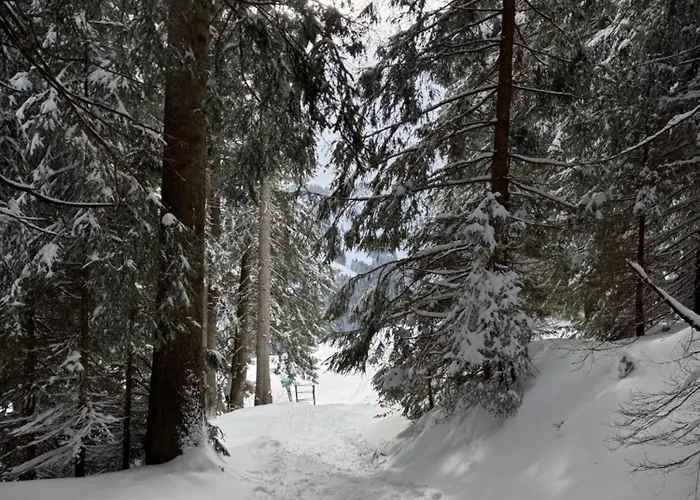 Allgaeu Bergluft *