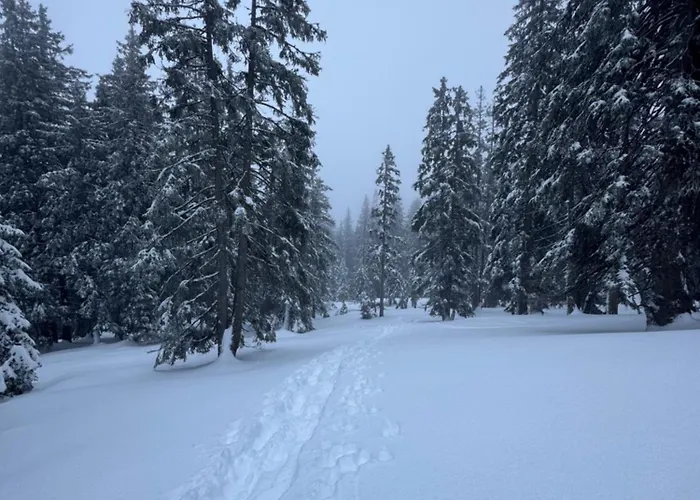 Allgaeu Bergluft Weitnau